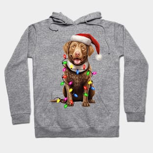 Christmas Chesapeake Bay Retriever Hoodie